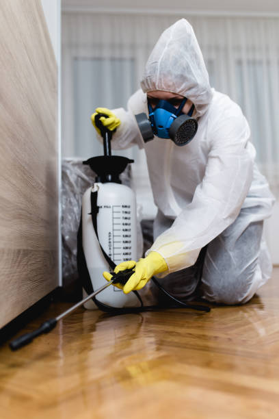 Best Fumigation Services  in Fairview Park, IN